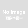 panasonic パナソニック　JSF62951-SWF2